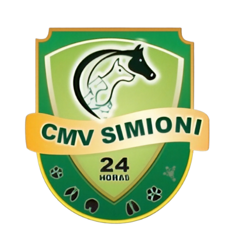Clínica Veterinária 24 HORAS Em São Paulo.png