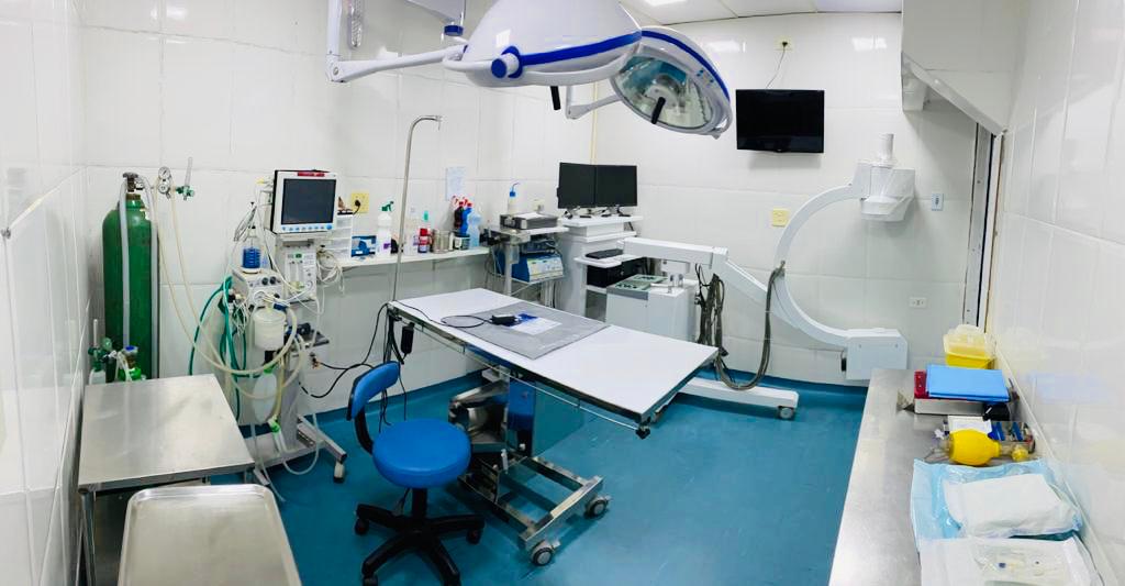 Clínica Veterinária 24 HORAS Em São Paulo